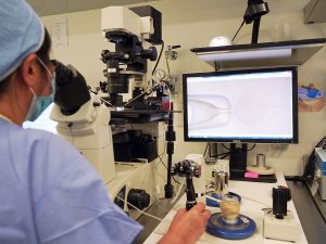 How Embryologists Care for Your Embryos