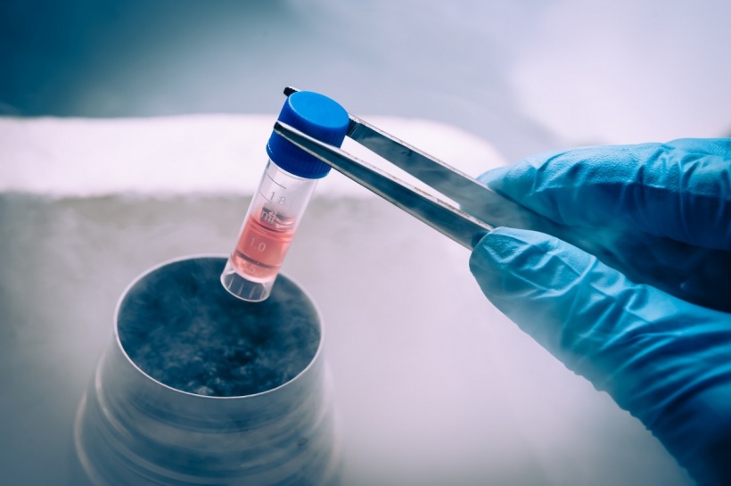 Preservation & Empowerment: The 2026 Guide to Social Egg Freezing